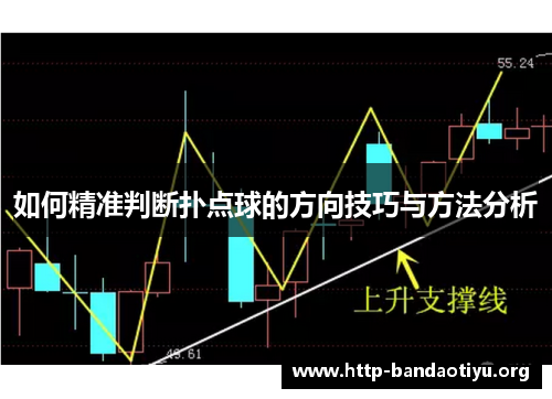 如何精准判断扑点球的方向技巧与方法分析