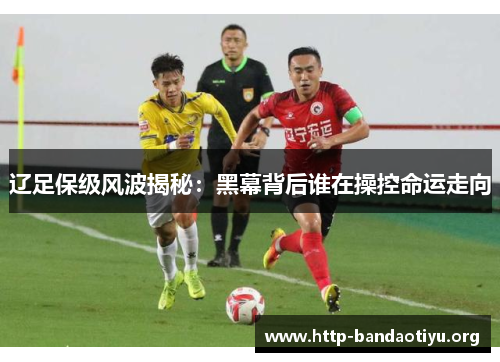 辽足保级风波揭秘:黑幕背后谁在操控命运走向 辽足保级风波揭秘:黑幕背后谁在操控命运走向
